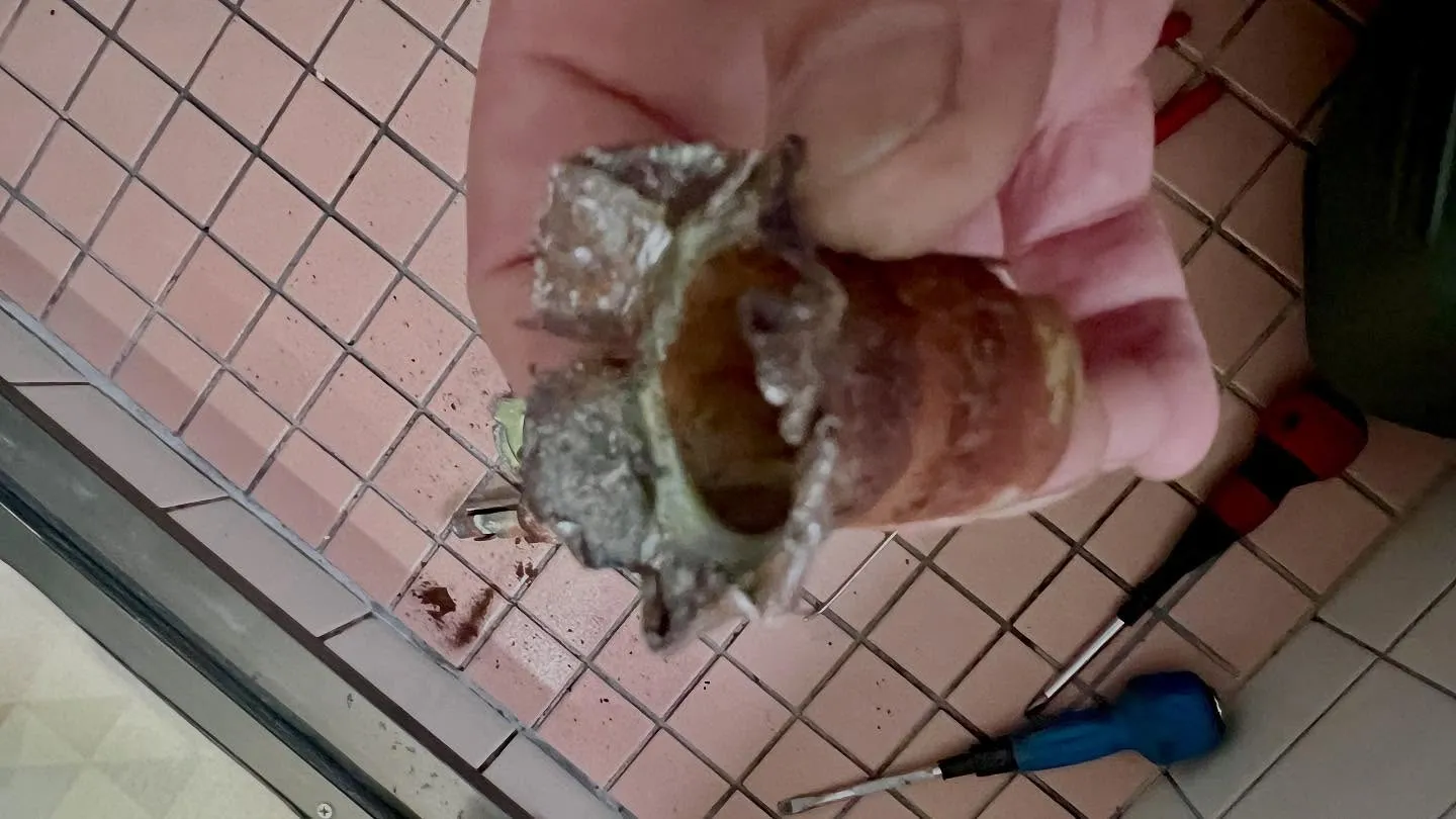 🛠️【浴室ドアノブ、腐って抜けた件】