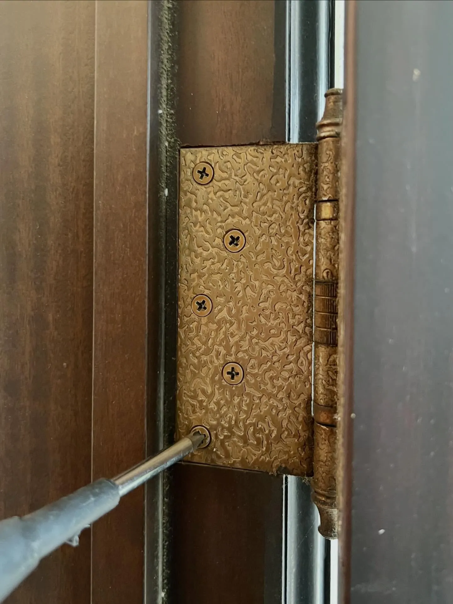 【40年以上の木製玄関ドア原因を見極め、丁寧に直す作業】